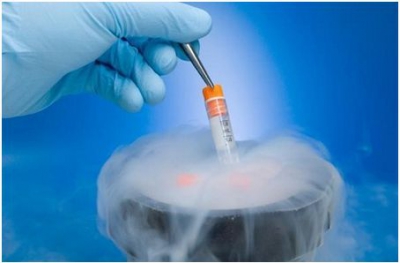 从卵子冷冻到胚胎冷冻，生育力保存之路越走越好！