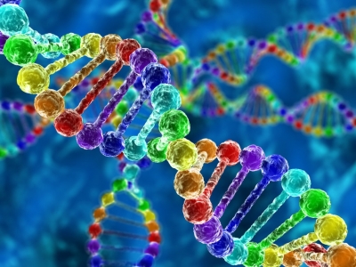 日本试管专家回答：基因检测与惯例体检的差异与联络！